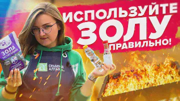 КАК НЕ НАВРЕДИТЬ В ОГОРОДЕ ЗОЛОЙ? Все о золе!