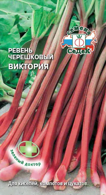 Ревень Виктория черешковый-0