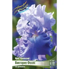 Корни: Ирис бородатый Виктория Фоллс