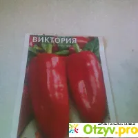 Перец Сладкий Виктория. - отзыв