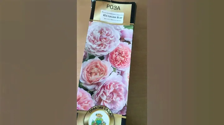Английская роза - Юстасия Вэй