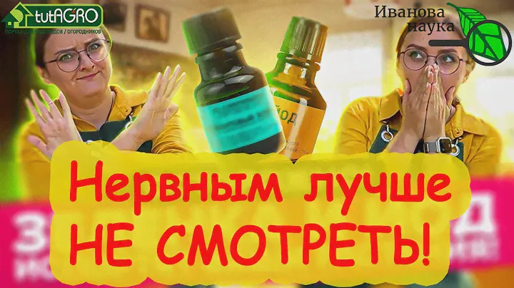 6,5 раз СПАСИБО Виктории Карелиной из Семян Алтая. Спасает людей от мракобесных советов, но надо...