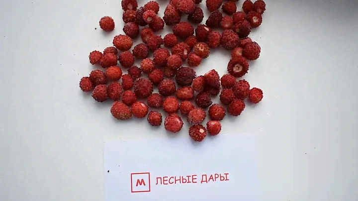 КУПИТЬ ЗЕМЛЯНИКУ В МОСКВЕ ОПТОМ? Продам Ягоду. Куплю Земляника Цена Кг и Литр | ЗВОНИ ☎ 89300314816