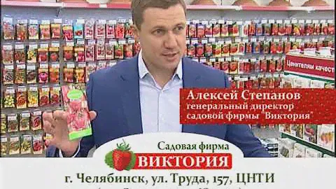2018 02 06 Виктория томаты