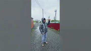 Стул Тулон Клео 12