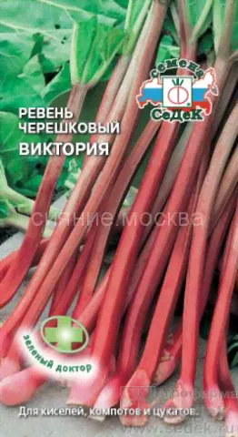 Ревень черешковый Виктория (СеДеК)-0