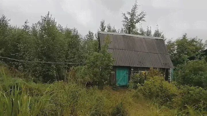 Обзор дачи в Тыла-ю, СНТ "Виктория"