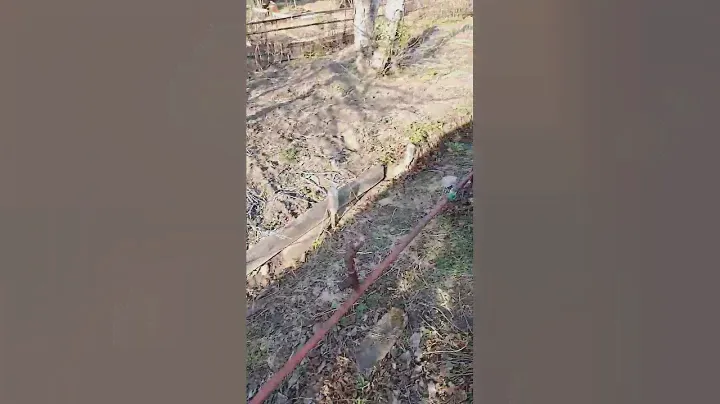 Дача Машзавод СНТ Виктория